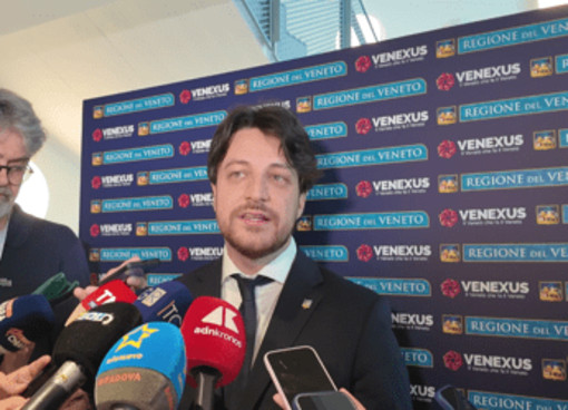 Sostenibilità, Stefani: "Venexus prima piattaforma regionale progetti Esg" Sostenibilità, Stefani: "Venexus prima piattaforma regionale progetti Esg"