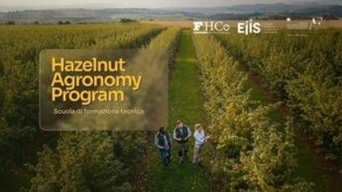 Sostenibilità, al via l’Hazelnut Agronomy Program: scuola tecnica dedicata al nocciolo