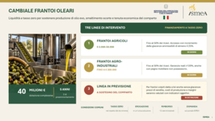 Agricoltura, Ismea: 40 mln per frantoi con 'Cambiale Frantoi Oleari'