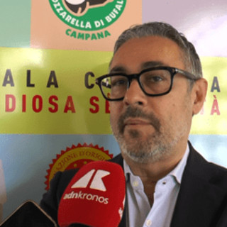 Pantini (Nomisma): "Mozzarella di bufala campana Dop conquista i consumatori Ue" Pantini (Nomisma): "Mozzarella di bufala campana Dop conquista i consumatori Ue"