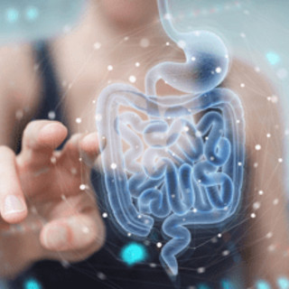 Malattie croniche dell'intestino, una guida pratica per clinici e pazienti per la migliore aderenza alle cure Malattie croniche dell'intestino, una guida pratica per clinici e pazienti per la migliore aderenza alle cure