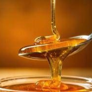 Non solo dolcezza: nel miele di acacia i microRna che 'parlano' al sistema immunitario Non solo dolcezza: nel miele di acacia i microRna che 'parlano' al sistema immunitario