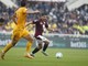 Torino-Pisa 2-2, doppietta di Moreo poi la rimonta granata Torino-Pisa 2-2, doppietta di Moreo poi la rimonta granata
