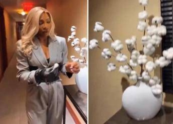 Serena Williams e la pianta di cotone in hotel: "Non va bene"