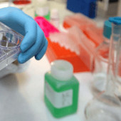 Tumori, al via studio per ridurre rischio recidive da cancro al seno
