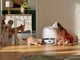 Animali, sondaggio Roborock rivela come cambia l'igiene domestica per i pet parent italiani Animali, sondaggio Roborock rivela come cambia l'igiene domestica per i pet parent italiani