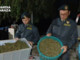 Scoperta “fabbrica della droga” a Napoli, sequestrata una tonnellata di cannabis Scoperta “fabbrica della droga” a Napoli, sequestrata una tonnellata di cannabis