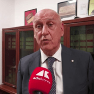 Agostiniani (Sip): "Ampliare ricerca in età evolutiva in Italia" Agostiniani (Sip): "Ampliare ricerca in età evolutiva in Italia"