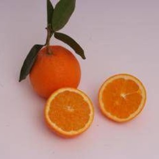 Arance e vitamina C, Bassetti boccia la spremuta: "Meglio mangiarle a spicchi"