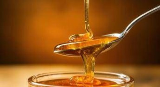 Non solo dolcezza: nel miele di acacia i microRna che 'parlano' al sistema immunitario